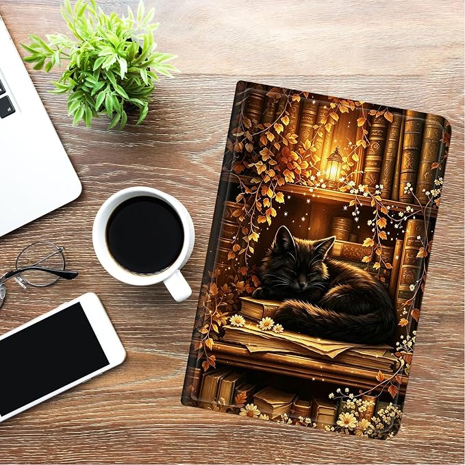 Cozy Library Black Cat